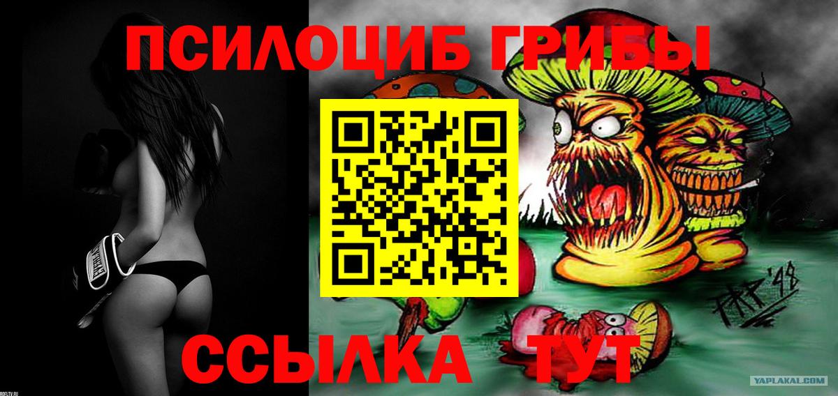 Балашов  Галлюциногенные грибы ЛСД  Вход с VPN  Псилоцибиновые грибы прущие грибы 